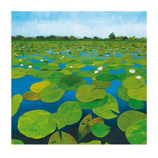 Lamina - Waterlilies