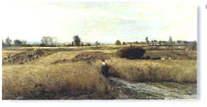 Lamina - La mietitura Marcos y Cuadros