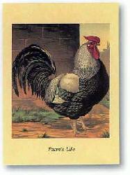 Lamina - Farm life III Enmarcado de laminas