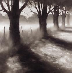 Lamina - Path By Field Enmarcado de laminas