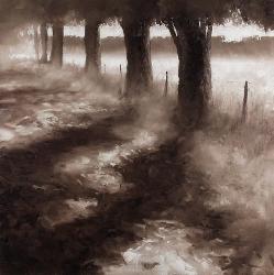 Lamina - Trees along Path Enmarcado de laminas