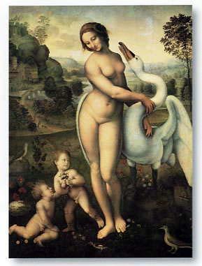 Lamina - Leda