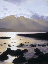 Lamina - timeless Enmarcado de laminas