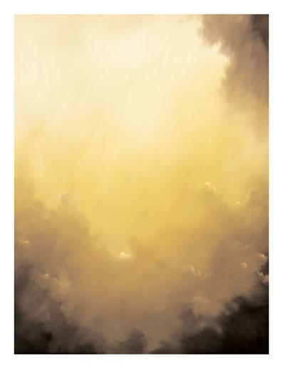 Lamina - Golden Wonder 
