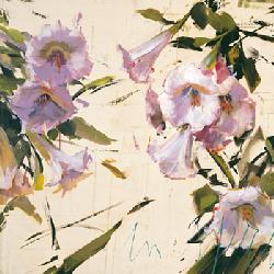 Lamina - Petunia Enmarcado de laminas