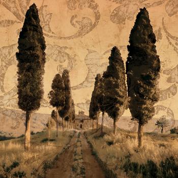 Lamina - Tuscany I