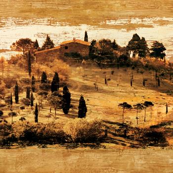 Lamina - Tuscan Countryside II