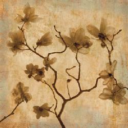 Lamina - Magnolias I Enmarcado de laminas