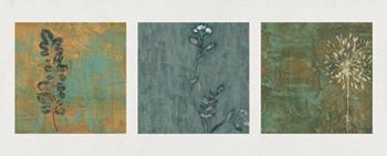 Lamina - Nature Path  Marcos y Cuadros