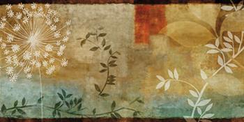 Lamina - Saga  Enmarcado de cuadros