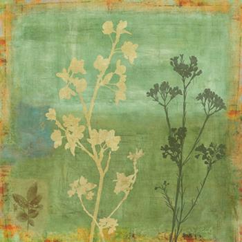 Lamina - Eco-friendly I