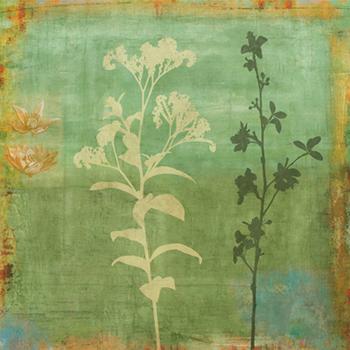 Lamina - Eco-friendly II