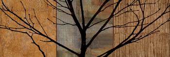 Lamina - Arboreal I