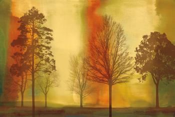 Lamina - Sunset II