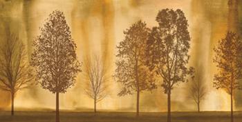 Lamina - Idyllic  Enmarcado de laminas