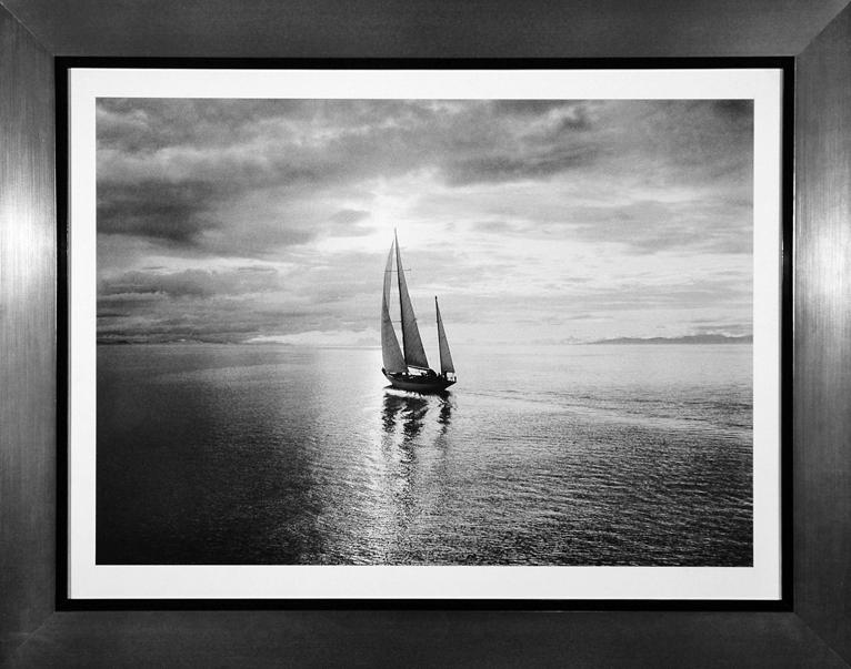 Cuadro - Diamond Head in Swiftsure Race