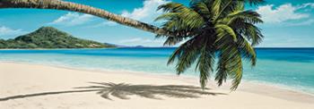 Lamina - Island View 
