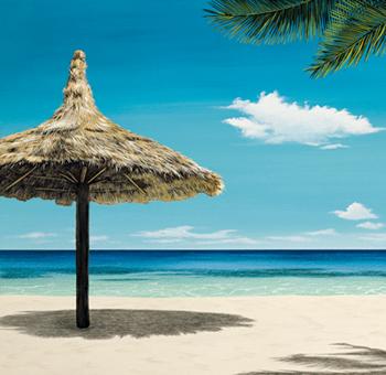 Lamina - Seashore Serenity I