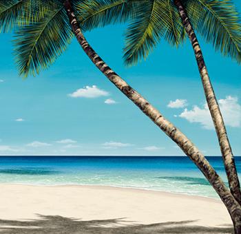 Lamina - Seashore Serenity II