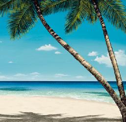 Lamina - Seashore Serenity II Enmarcado de laminas