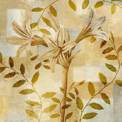 Lamina - Lily Dreams  Marcos y Cuadros