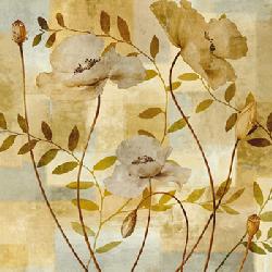 Lamina - Poppy Dreams  Marcos y Cuadros