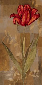 Lamina - Red Impression I