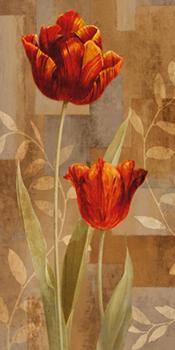 Lamina - Red Impression II