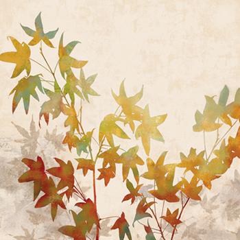 Lamina - Turning Leaves I
