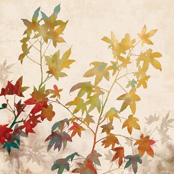 Lamina - Turning Leaves II