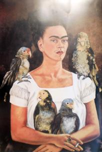 Lamina - Autorretrato con loros