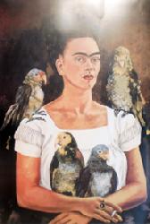 Lamina - Autorretrato con loros Enmarcado de laminas