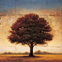 Lamina - Splendor I Enmarcado de cuadros