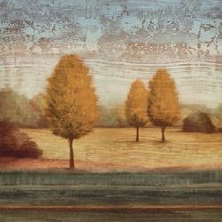 Lamina - In Awe II Enmarcado de cuadros