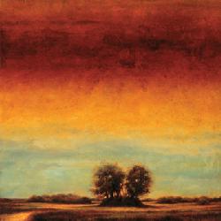 Lamina - Transformation II Enmarcado de cuadros