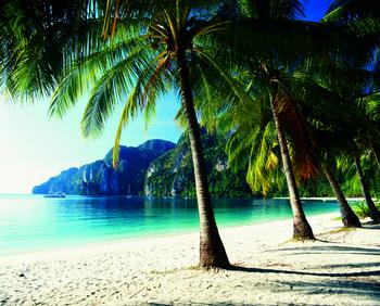 Lamina - Tonsai Beach, Phi Phi Island, Thailand