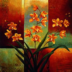 Lamina - Orange Orchid Marcos y Cuadros