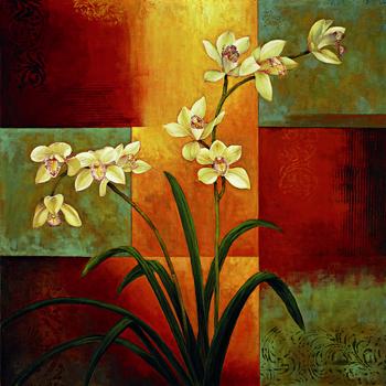 Lamina - White Orchid