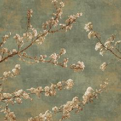 Lamina - Morning Blossom II Marcos y Cuadros