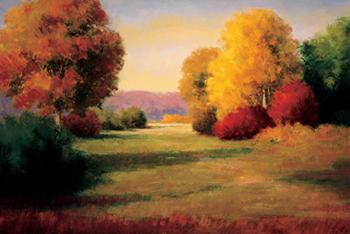 Lamina - The Morning Light I Enmarcado de cuadros