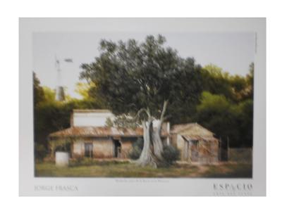 Lamina - Mediodia Antes de la Lluvia