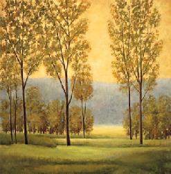 Lamina - Misty Morning I Enmarcado de cuadros