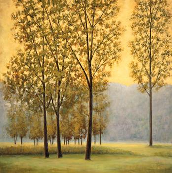 Lamina - Misty Morning II