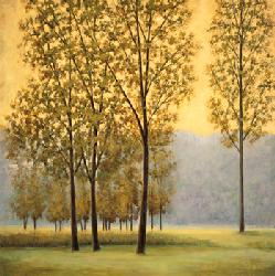 Lamina - Misty Morning II Enmarcado de cuadros