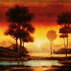 Lamina - Evening Light I Enmarcado de laminas