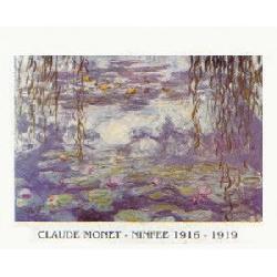 Lamina - Ninfee 1916-1919 Enmarcado de cuadros