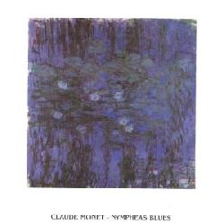 Lamina - Nympheas Blues Marcos y Cuadros