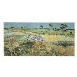 Lamina - Pianura ad Auvers Marcos y Cuadros