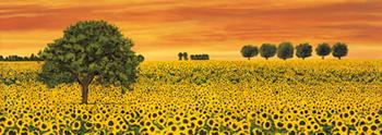Lamina - Field of Sunflowers  Enmarcado de laminas