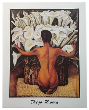 Lamina - Desnudo con alcatraces